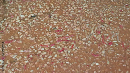 a large batch of traditional Romanian mashed or baked white beans mixed with a thick reddish sauce and pieces of red pepper and onion