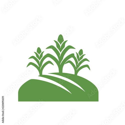 Stylized green corn stalks on a hill