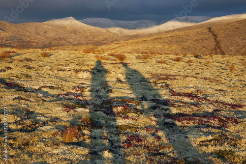 Shadows of two people on moss in the tundra and mountains