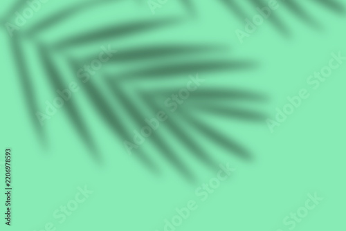 Abstract light green background with tropical palm leaf shadow