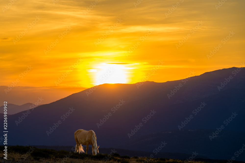 Obraz premium Atardecer rodeado de caballos salvajes en la Sierra de Guadarrama