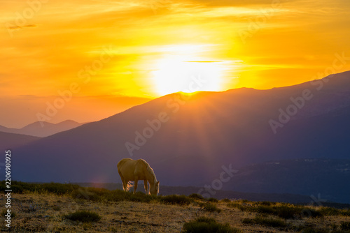 Atardecer rodeado de caballos salvajes en la Sierra de Guadarrama