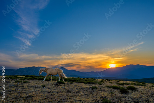 Atardecer rodeado de caballos salvajes en la Sierra de Guadarrama
