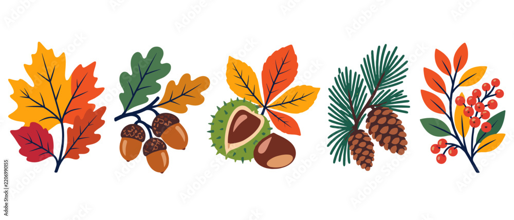 Fototapeta premium Autumn leaves acorns and pine cone branches illustration