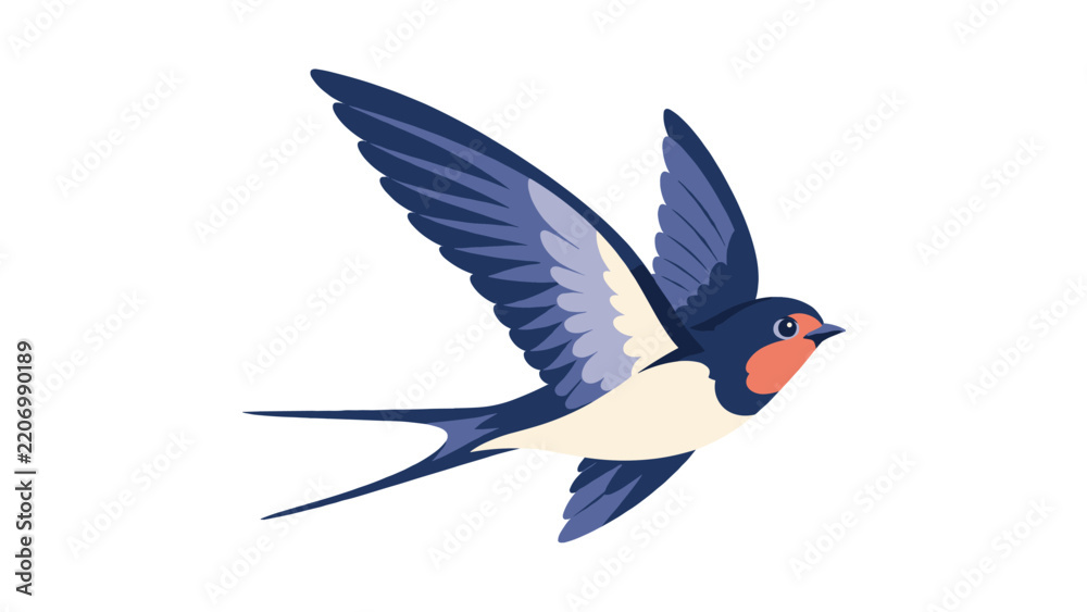 Obraz premium Swallow bird soaring illustration