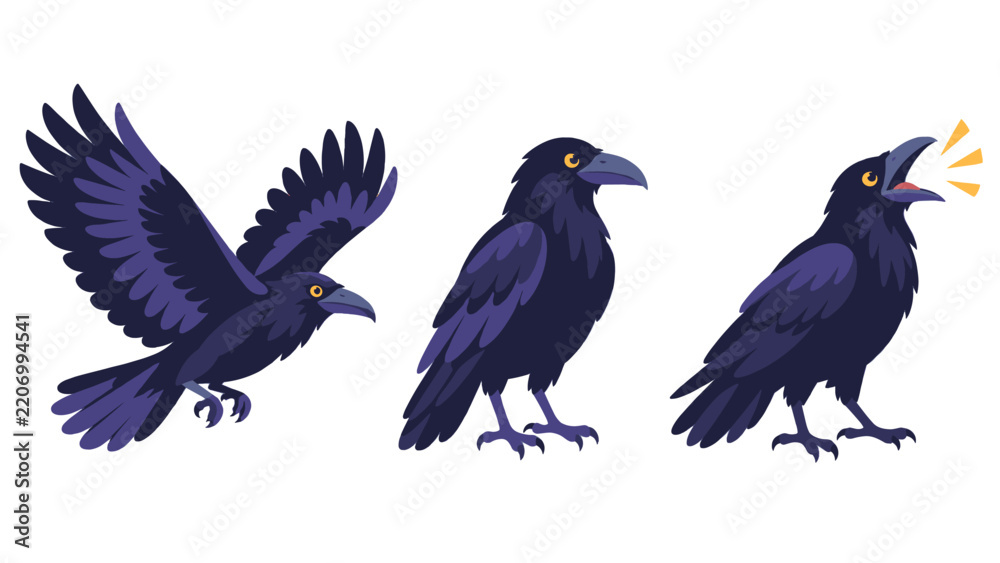 Obraz premium Crows and ravens illustration