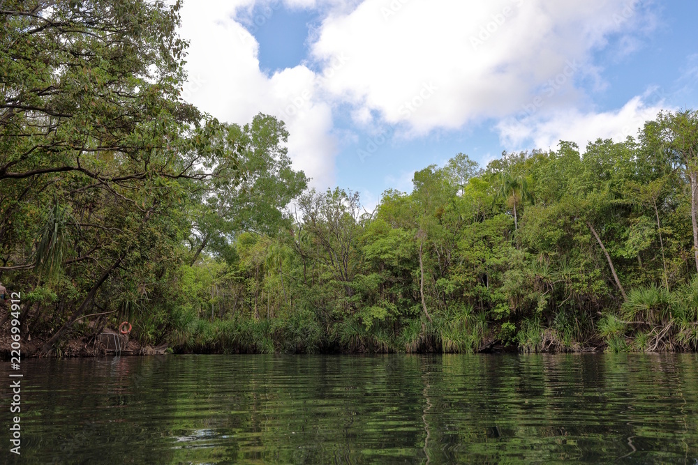 Fototapeta premium Lush green trees line the calm water at main pool swimming hole, Berry Springs Nature Park, Northern Territory, NT, Australia. Beautiful tropical outback location for travel and tourism. Copy space