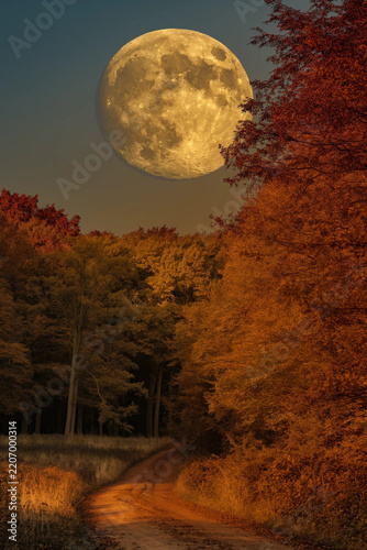 Large Full Moon Over Autumn Forest with Orange Foliage