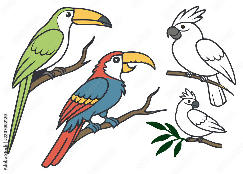 Obraz premium Set of cartoon tropical parrots, toucan and cockatoos sitting on tree branches, vector illustration isolated on white background