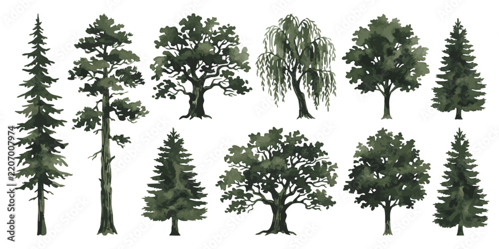 Fototapeta premium Set of black and white tree silhouettes showing different species like pine oak willow and evergreen forest plants