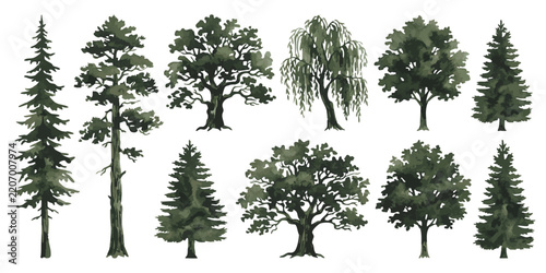Set of black and white tree silhouettes showing different species like pine oak willow and evergreen forest plants