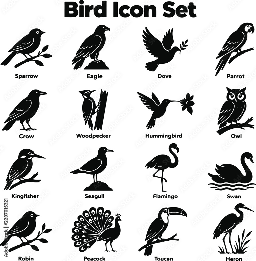 Obraz premium Bird Icon Set – Black Bird and Wildlife Silhouette Collection