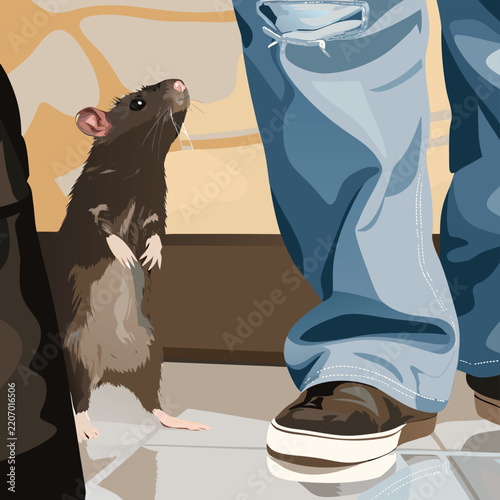 Mouse silhouettes set, rat vector illustration, rodent black icons, isolated on white background