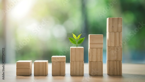 Business Growth Concept with Increasing Wooden Blocks and Green Plant