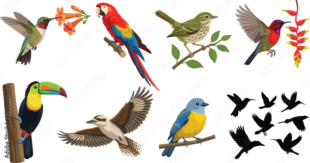 Obraz premium Colorful Bird and Wildlife Character Vector Illustration Collection