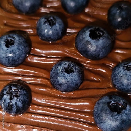 Fresh Blueberries Decadent Chocolate Frosting Dessert