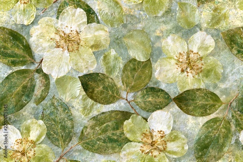 A seamless pattern of pressed green flowers and leaves with delicate petals and stems, creating a soft botanical herbarium background with a natural vintage texture.
