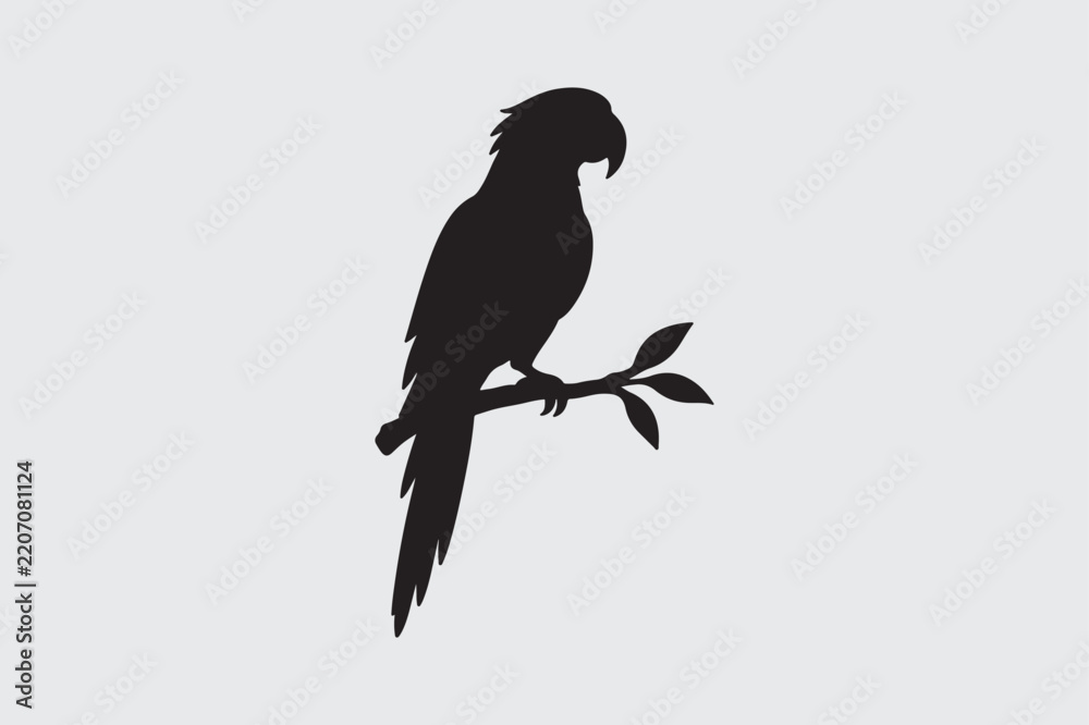 Fototapeta premium Parrot silhouette, Vector silhouette, black vector icon style, simple shape, clear cut, white background