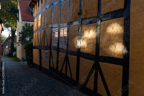 Close-up of a traditional yellow timber-framed facade in Ribe, showing soft tree shadows and warm morning sunlight playing across the plaster and dark wooden beams