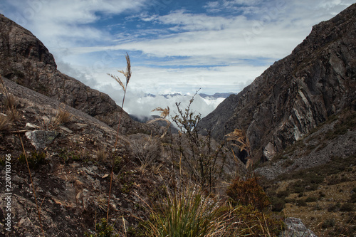 Sierra Nevada National Park. Merida. Venezuela.