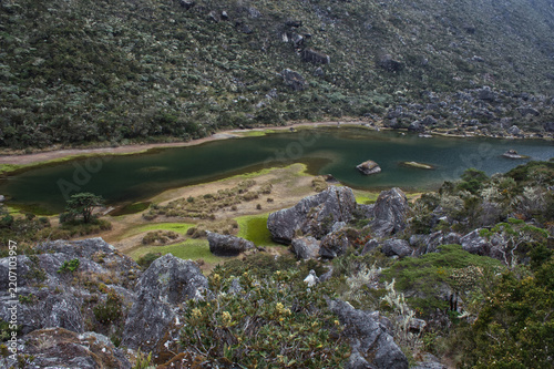 Sierra Nevada National Park. Merida. Venezuela.