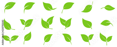 Leaf sprout icon vector set, green leaves plant eco logo symbols for organic nature, vegan branding, healthy herb and fresh growthork