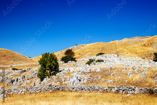 Golden Karst Hills with Limestone Rocks and Trees Under Deep Blue Sky