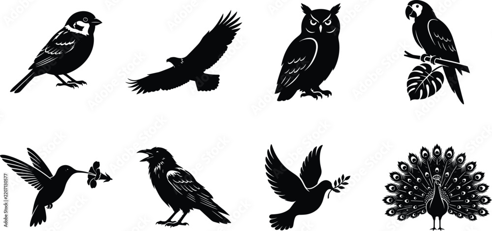 Fototapeta premium Bird Silhouette Collection Featuring Sparrow Eagle Owl Parrot Hummingbird Raven Dove and Peacock