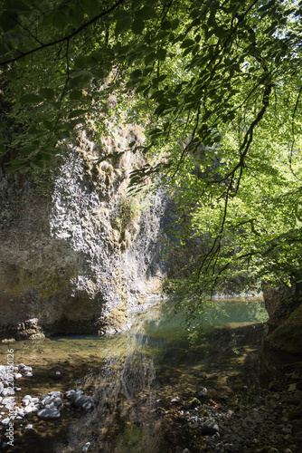 Les gorges de la Jordanne sont des gorges françaises situées dans le Cantal, en Auvergne depuis le village de Saint-Julien jusqu'à celui de Saint-Cirgues-de-Jordanne..