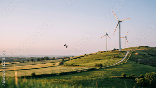 Scenic landscape with wind turbines on rolling green hills at sunset generating renewable energy