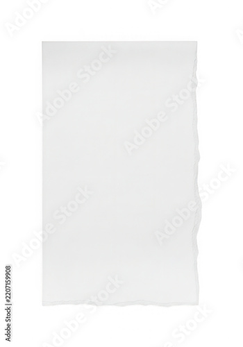 Single piece of white paper with rough torn edges isolated on white background