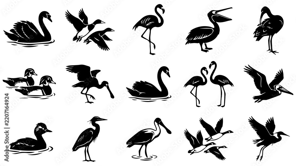 Obraz premium Set of black silhouette icons of different wild water birds like swans ducks and cranes in action