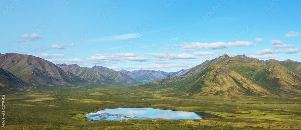 Obraz premium Lake in tundra
