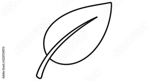 Simple line drawing depicts a single leaf with a central vein
