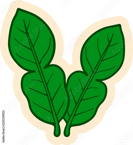 A stylized illustration of two vibrant green leaves. The leaves are depicted with clear veins and a slightly curved shape, set against a creamy outline