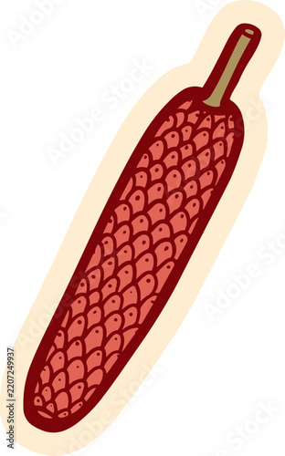A graphic illustration of a single, long, red, seed-covered object with a brown stem