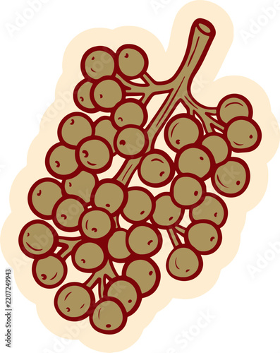 A bunch of stylized berries with a rustic appeal. The berries are a muted brown color, clustered together on a stem with a light brown outline.