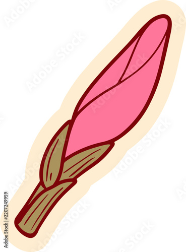 A beautiful closed pink flower bud with green leaves and brown stem, drawn in a cartoonish style with a cream outline