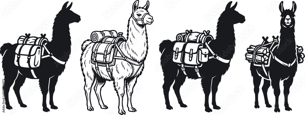 Obraz premium Pack Lama and Alpaca Silhouette Vector Set Featuring Working Animals Carrying Camping Gear Cargo Backpacks and Saddles for Mountain Trekking Designs