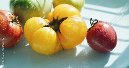 Yellow, green and red tomato in a light blue plate. Tomatoes sprinkled with water. Agricultural industry and farming.	