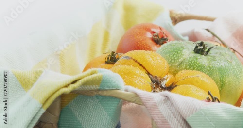 Yellow, green and red tomato in a colourful kitchen towel. Tomatoes sprinkled with water. Agricultural industry and farming.	
