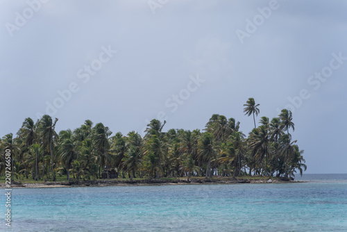 tropical beach with palm trees