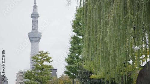 Young woman walking in tokyo park with skytree view
