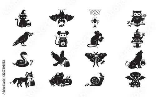 Halloween animal icons with cat bat spider crow mouse frog and dog characters in spooky costumes.