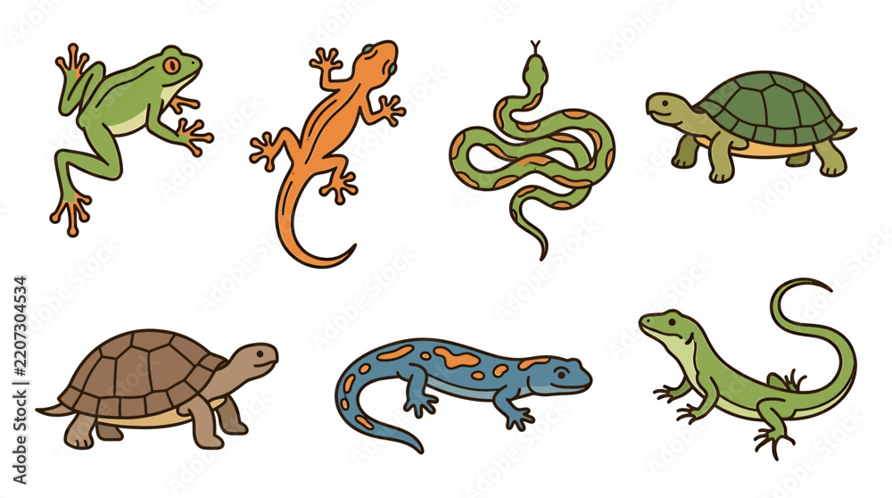 Obraz premium Collection of Cartoon Reptiles and Amphibians Isolated