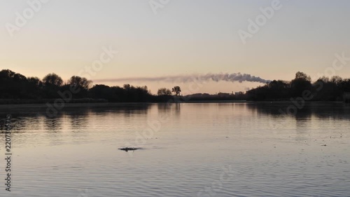 Silhouette of a wild duck swimming on a calm water surface and diving under water at sunset. Peaceful nature landscape footage, lake scenery, wildlife, outdoor tranquility and ecosystem concept.