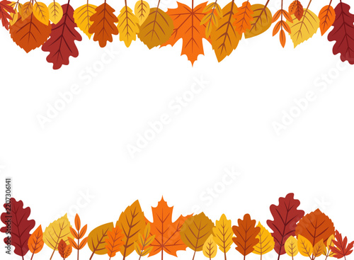 Different types of autumn leaves on a white background, vector