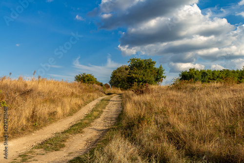 A dirt road through a field