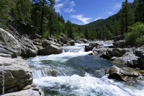 Stunning mountain river flowing rapidly over rocky terrain surrounded by lush green pine trees under a bright blue sky with wispy clouds in a serene natural landscap