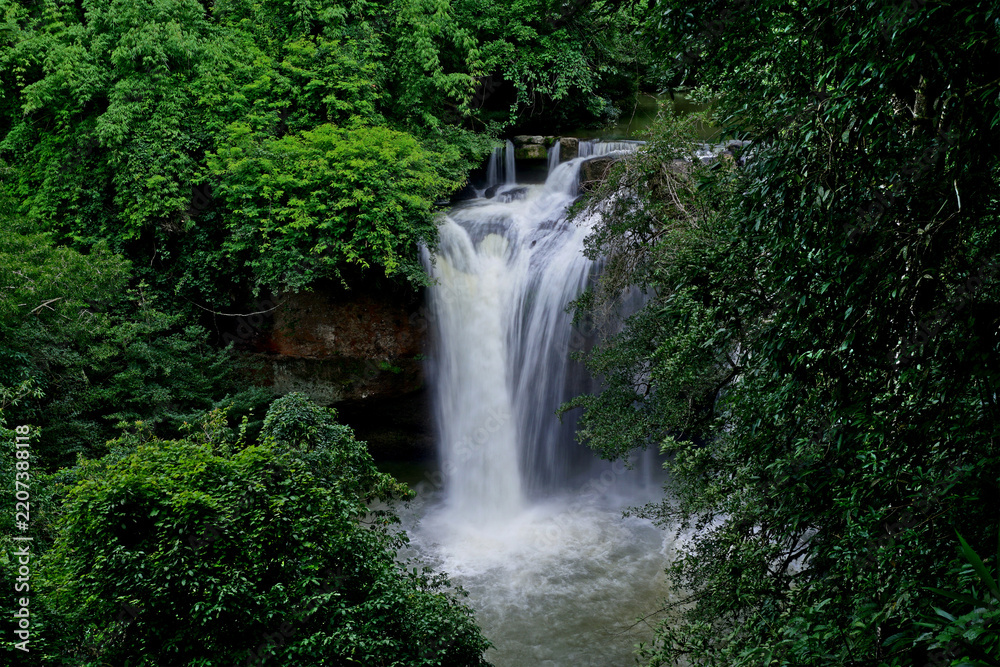Obraz premium waterfall in green forest